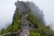 2026年亚洲青少年羽毛球团体赛 中国队以全胜战绩夺冠，2020年全国羽毛球青少年比赛