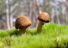 世界体能恢复公益课堂高校合作第41批项目验收结果公示，世界体能比赛