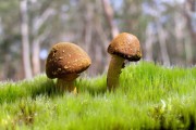 世界体能恢复公益课堂高校合作第41批项目验收结果公示，世界体能比赛