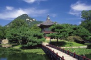 世界体操单项赛赛场康复与心理支持示范中心全国复制首批城市名单公布